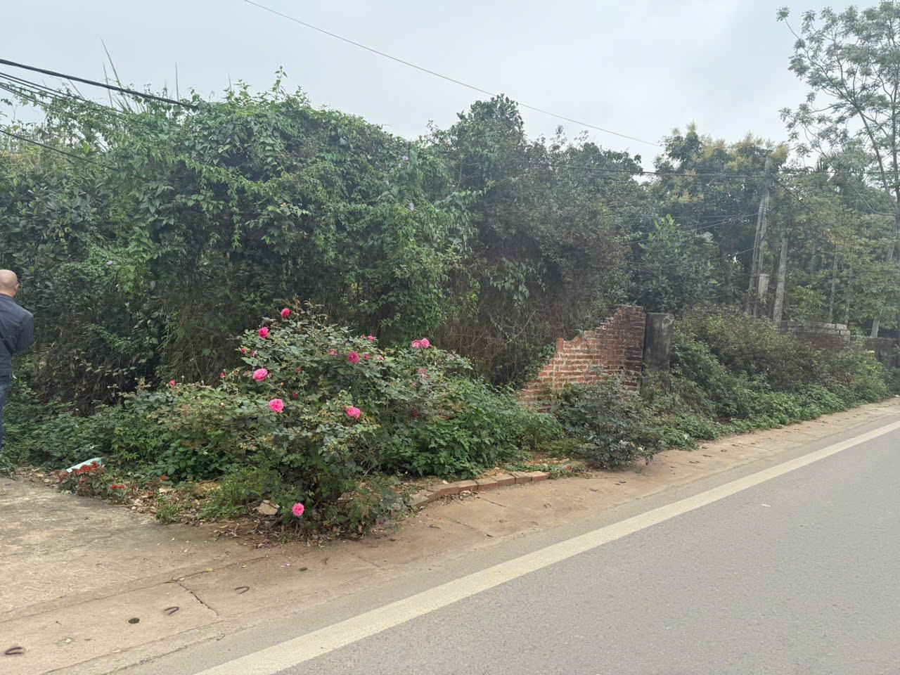 Bán Đất Sơn Tây, Bán Đất Cổ Đông | Bán Đất Thôn La Gián