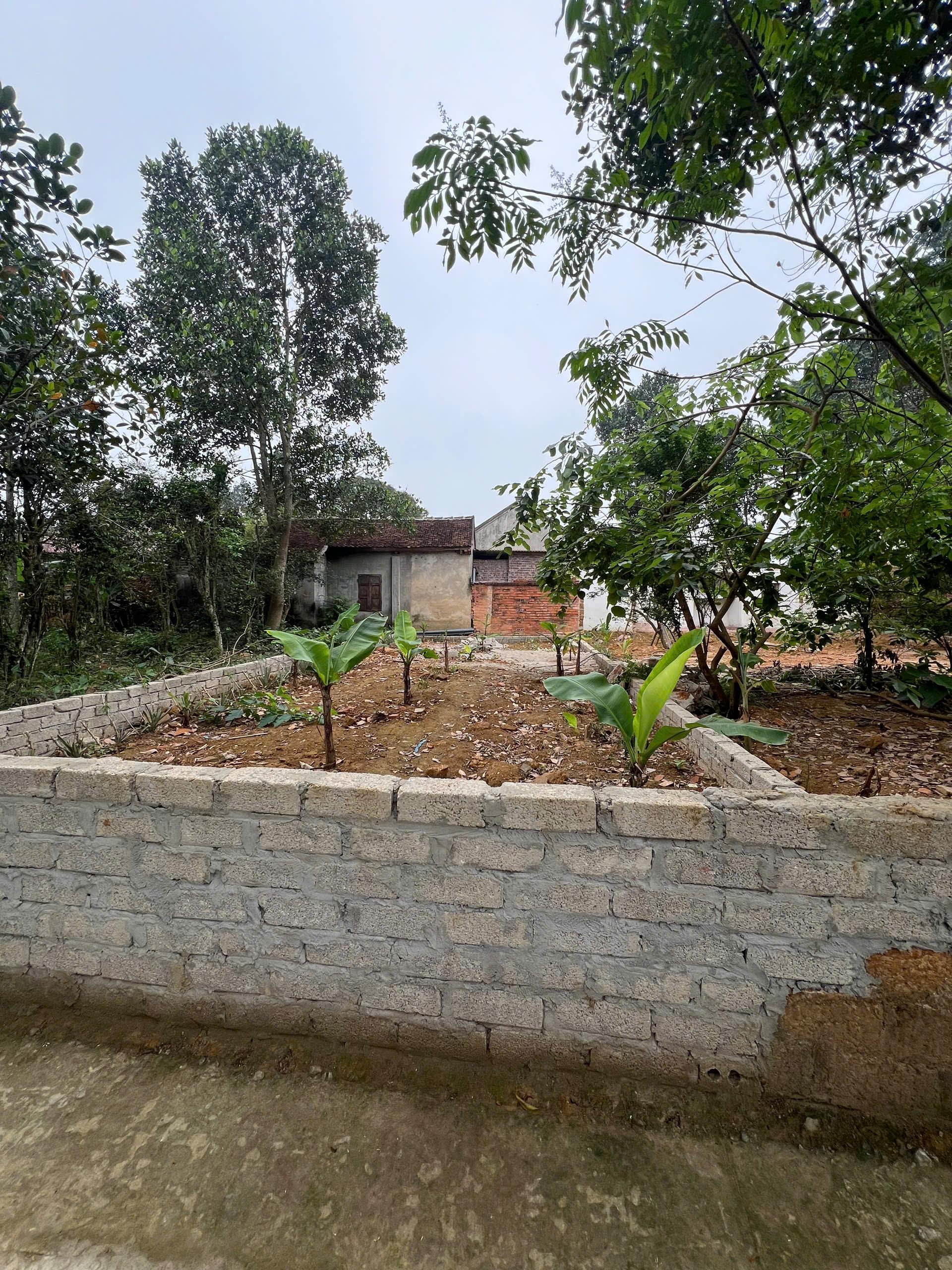 Bán Đất Thạch Thất, Bán Đất Hạ Bằng | Bán Đất Thôn 8