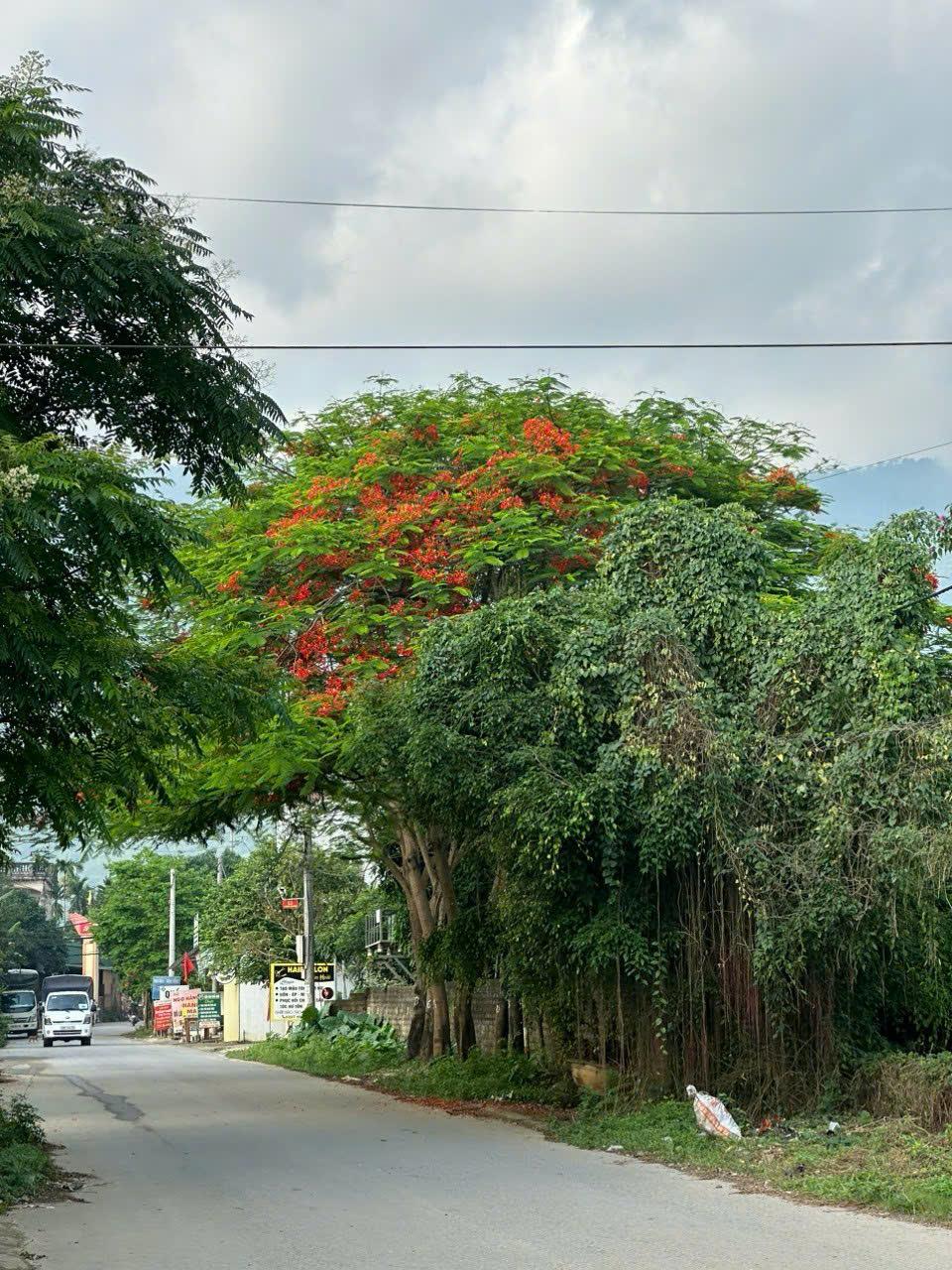 Bán 2 Lô Đất Thạch Thất, Bán Đất Tiến Xuân | Bán Đất Xóm Chùa