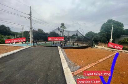 Bán Đất Sơn Tây, Bán Đất Cổ Đông