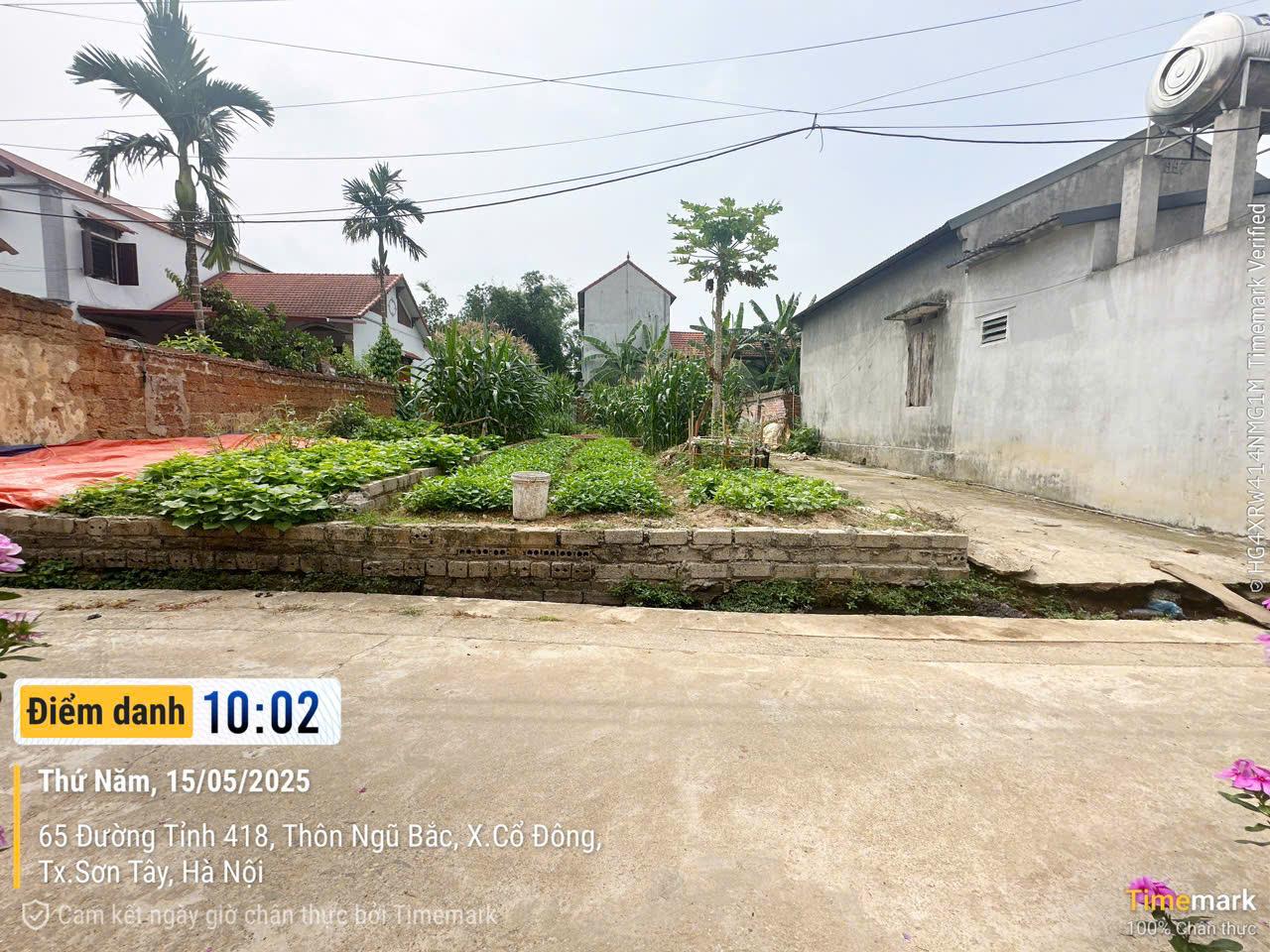 Bán Đất Sơn Tây, Bán Đất Xã Cổ Đông | Bán Đất Thôn Ngọc Kiên