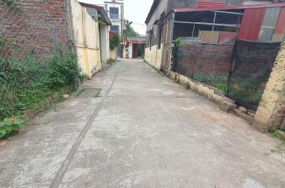 Bán đất Đan Phượng – Quán La