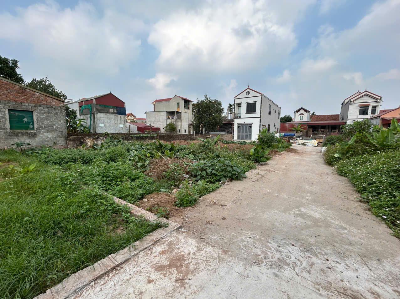 Bán Đất Đan Phượng | Xã Thọ An 71m² Nở Hậu, Ngõ 3m Ô Tô Vào Tận Nơi, Giá 49 Triệu/m²