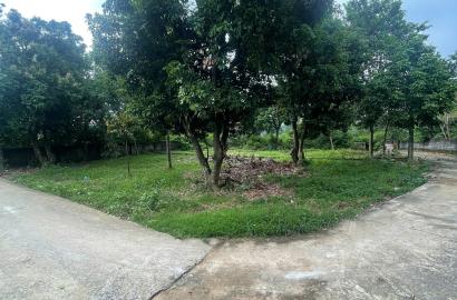 BÁN ĐẤT GÓC THÔN TRẠI HỒ – CỔ ĐÔNG, TX SƠN TÂY