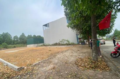 Bán đất 150m² tại khu TĐC Đại Học Quốc Gia – mặt đường đôi