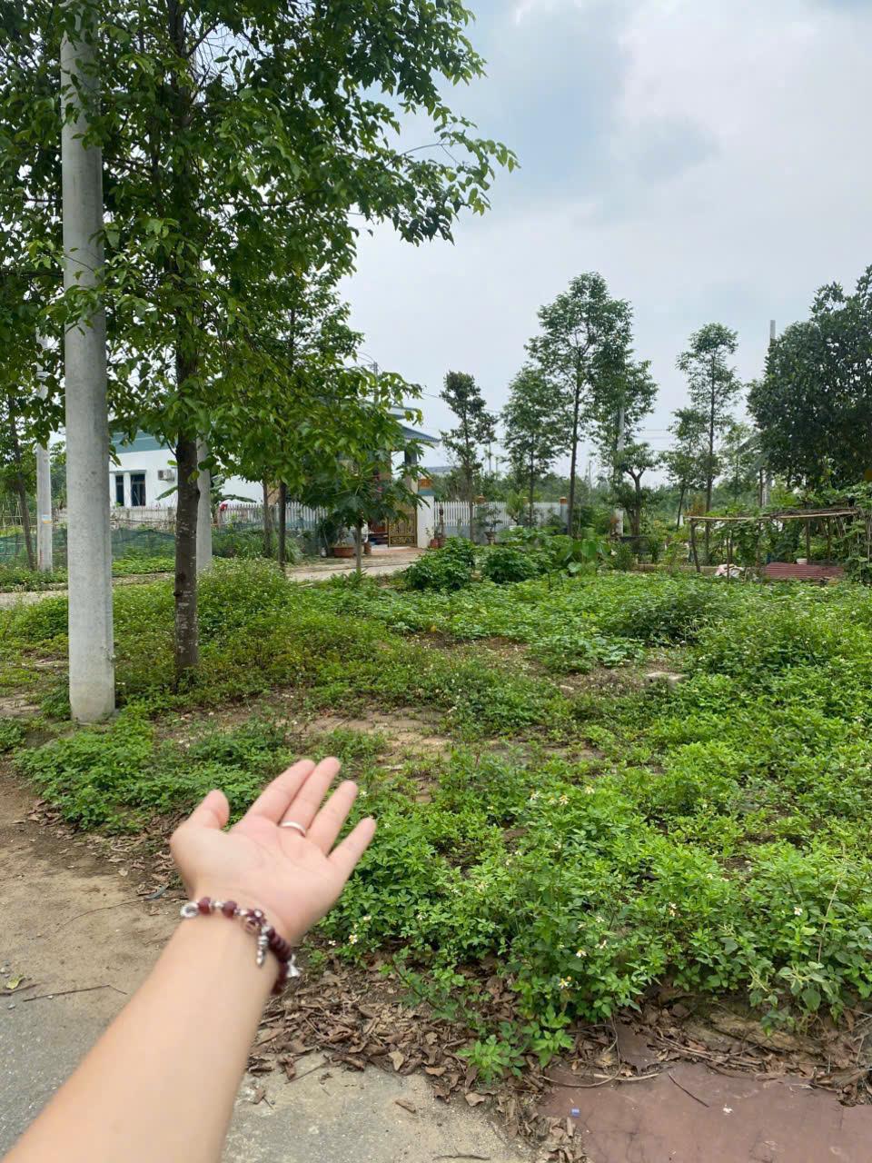 BÁN LÔ GÓC KHU TÁI ĐỊNH CƯ ĐHQG
