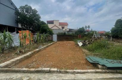 Bán Đất 63,6m² Thôn 2 Khoang Mè – Hạ Bằng, Vị Trí Đẹp
