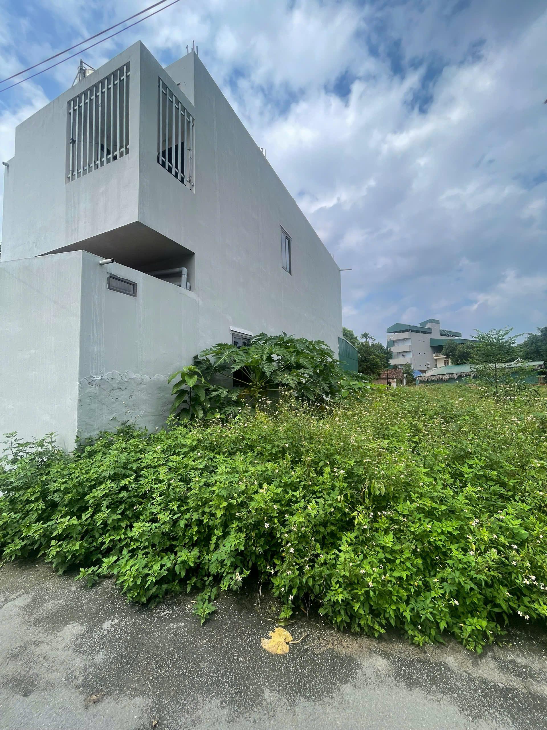 Đất 66,2m² Thôn 5, Tân Xã – Giao thông thuận tiện, gần chợ & khu TĐC, cơ hội đầu tư hấp dẫn!