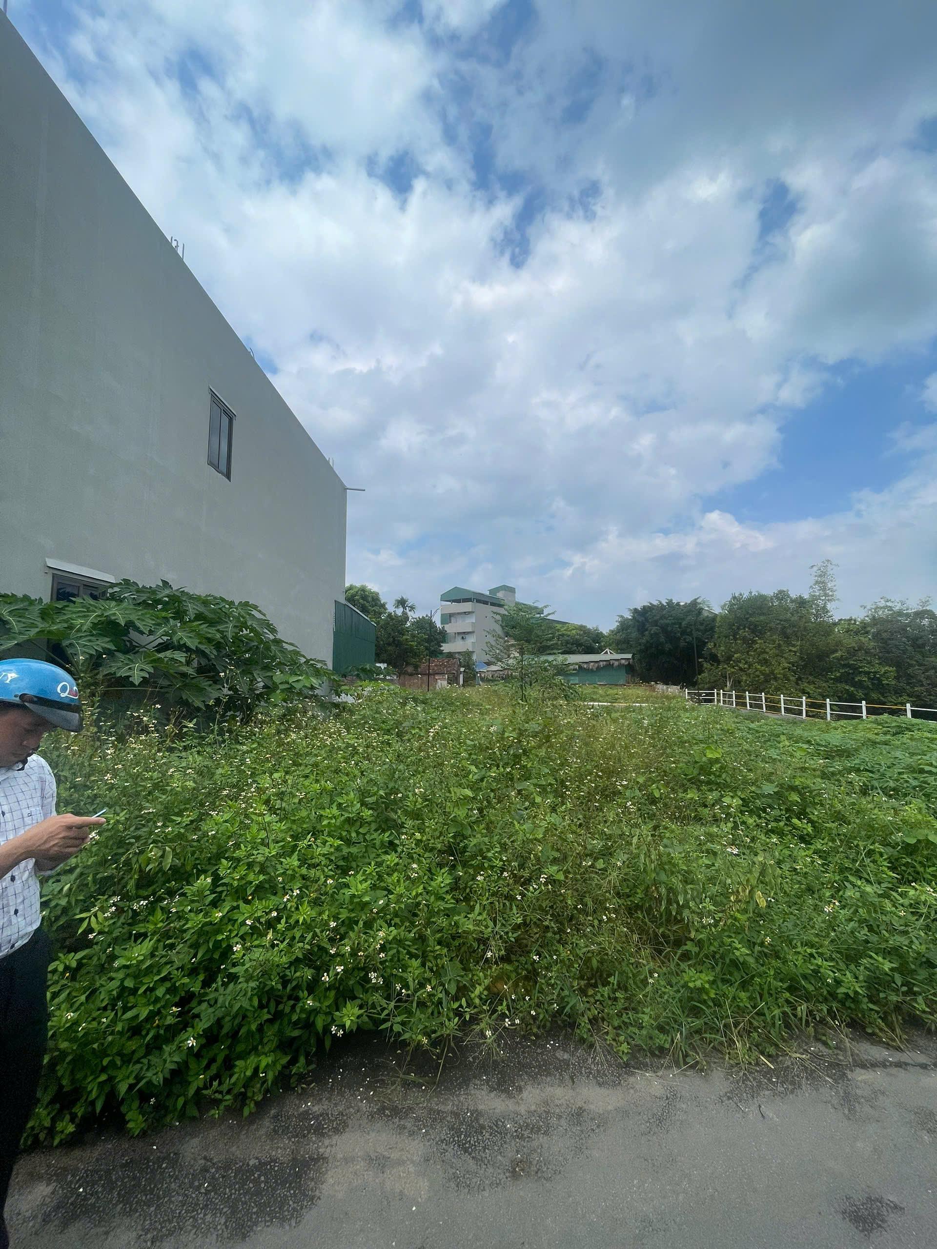Đất 66,2m² Thôn 5, Tân Xã – Giao thông thuận tiện, gần chợ & khu TĐC, cơ hội đầu tư hấp dẫn!