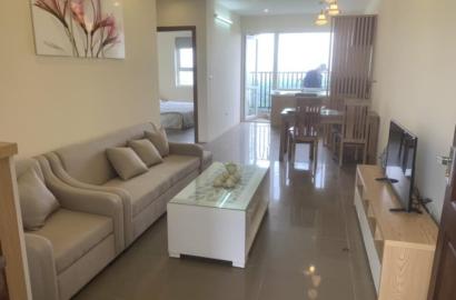 Thuê chung cư Phenikaa Hòa Lạc | Chung Cư Phenika 2 Phòng Ngủ 60m2