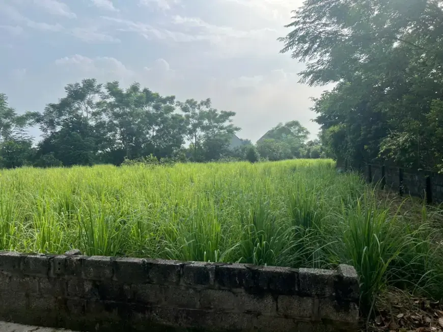 Bán Đất Quốc Oai, Bán Đất Xã Hòa Thạch | Bán Đất Tại Thôn Hoà Trúc