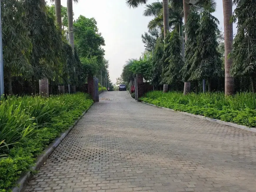 Bán Đất Hòa Lạc Thạch Thất, Bán Đất Xã Tiến Xuân | Bán Đất Tại Thôn Miễu | Bán đất Hòa Lạc gần Đại học Quốc Gia