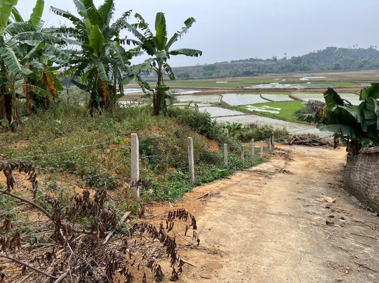 Bán Đất Quốc Oai, Bán Đất Xã Phú Mãn | Bán Đất Thôn Cổ Rùa