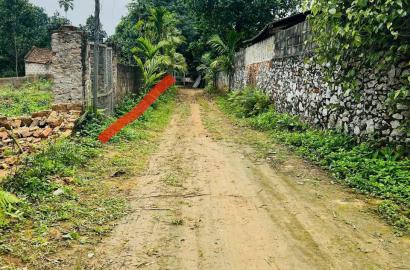 Bán Đất Hòa Bình Giá Tốt | Đất Thị Trấn Ba Hàng Đồi, Lạc Thủy, Khu Quyết Tiến