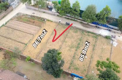 Bán Đất Quốc Oai, Bán Đất Phú Cát