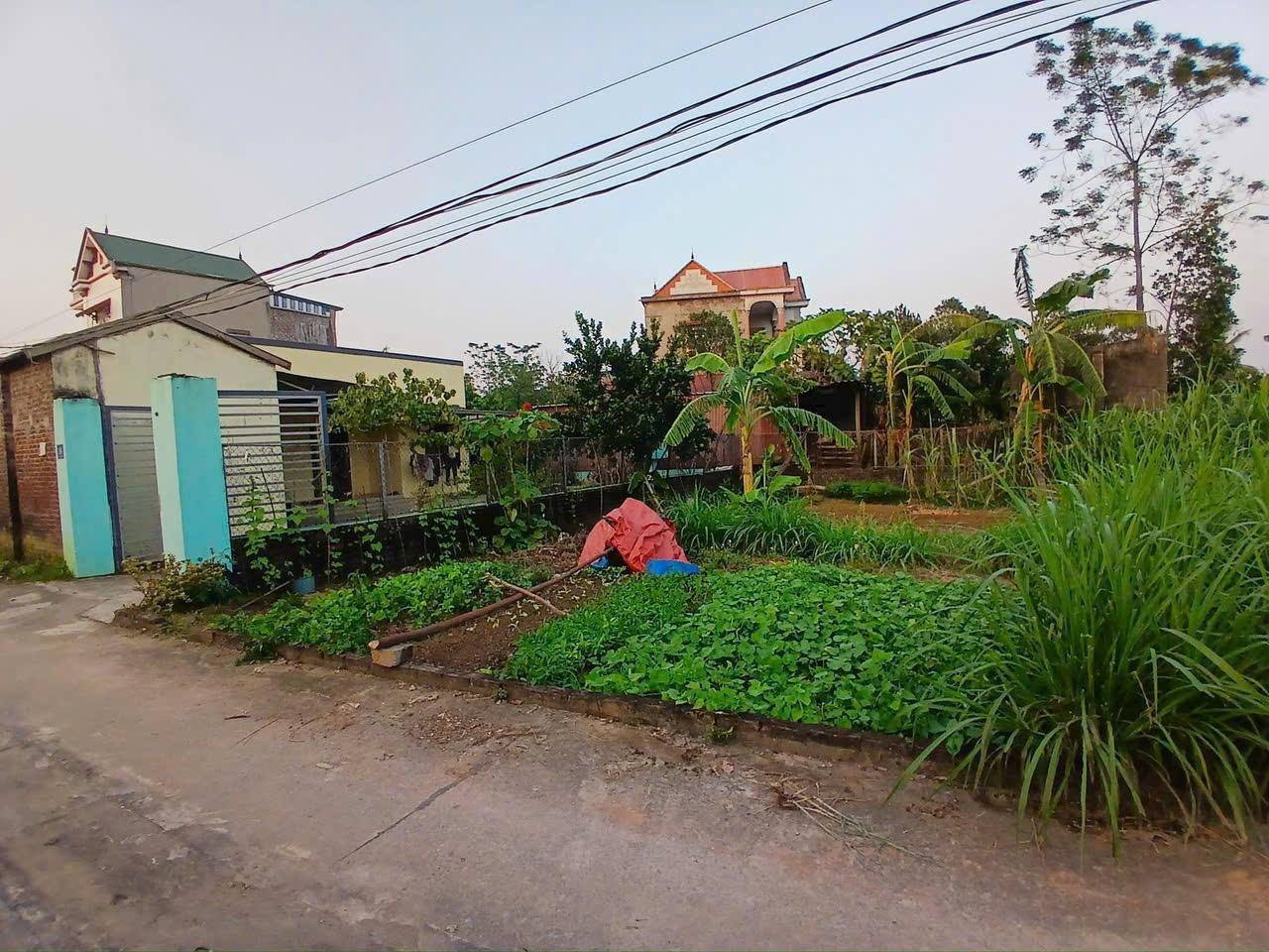 Bán Lô Đất Đẹp Tại Xuân Linh – Thủy Xuân Tiên, Chương Mỹ, Hà Nội