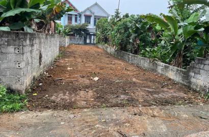 Bán Nhanh Đất Xã Thủy Xuân Tiên, Thôn Gò Cáo – Chương Mỹ