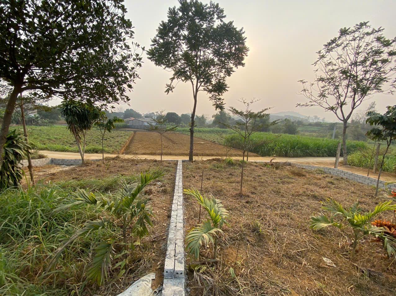 Bán Đất Ba Vì, Bán Đất Xã Vân Hòa | Bán 3 Lô Đất