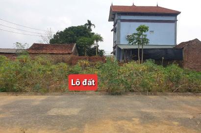 Bán Đất Hòa Lạc – Thạch Thất | Đất Tân Xã, Đội 3 Giá Tốt
